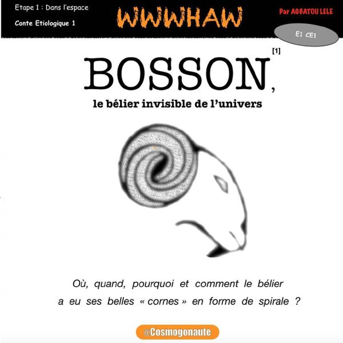 BOSSON, le bélier invisible de l'univers
