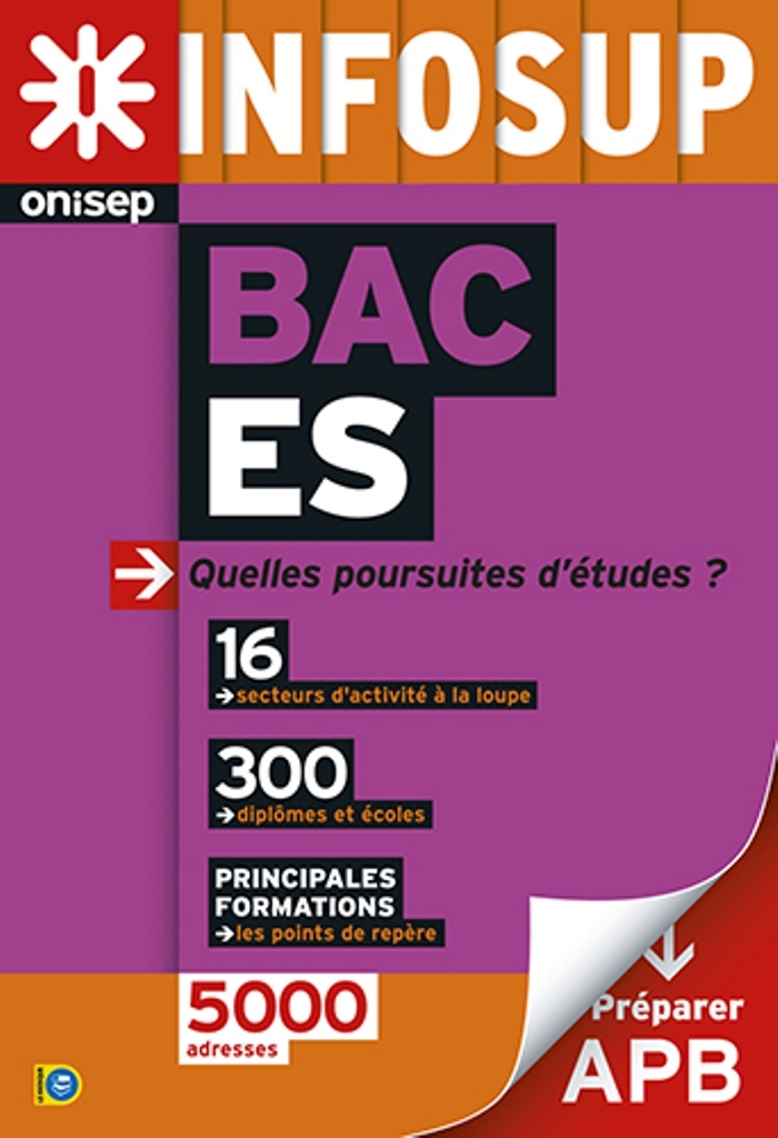 Bac ES, quelles poursuites d'études ?