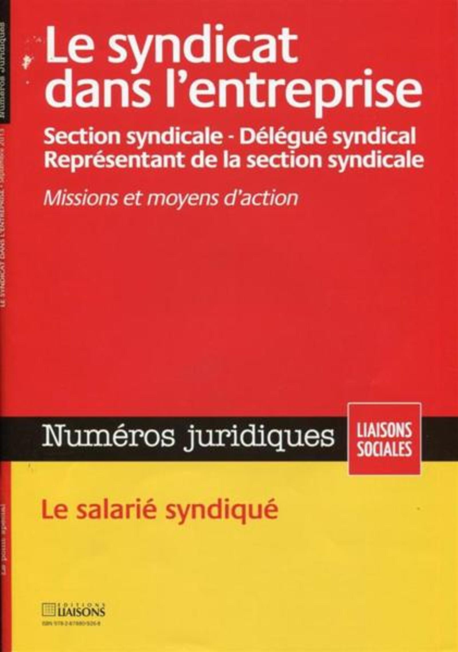 LE SYNDICAT DANS L'ENTREPRISE. SECTION SYNDICALE-DELEGUE SYNDICAL-REPRESENTANT D