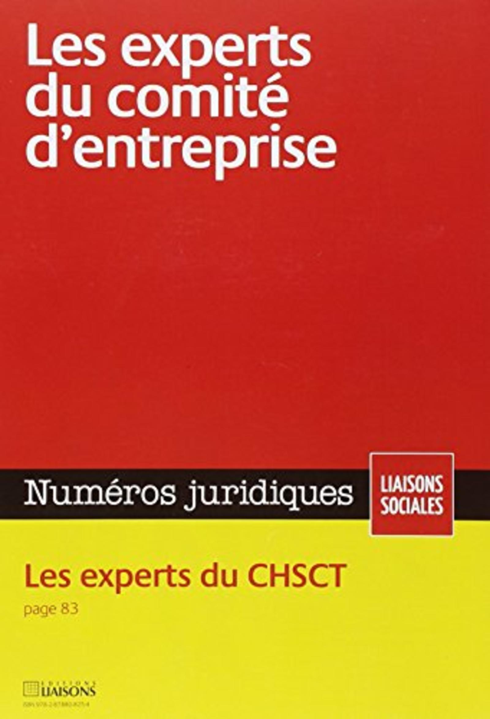 LES EXPERTS DU COMITE D ENTREPRISE