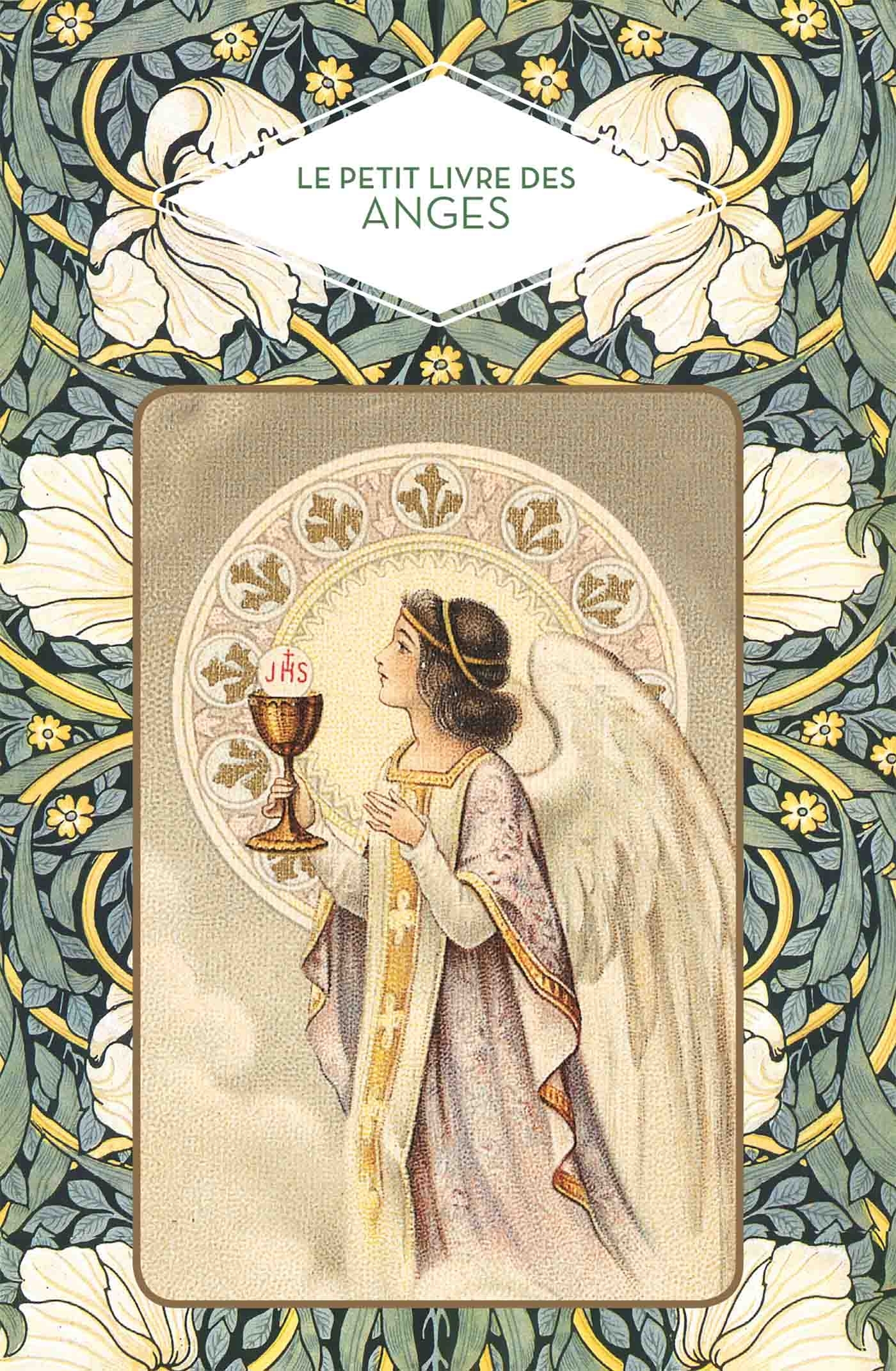 Le petit livre des anges - Nouvelle édition