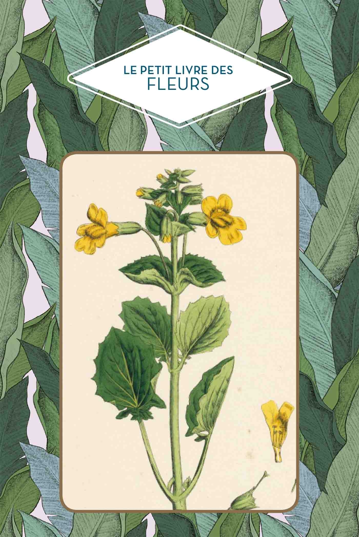 LE PETIT LIVRE DES FLEURS