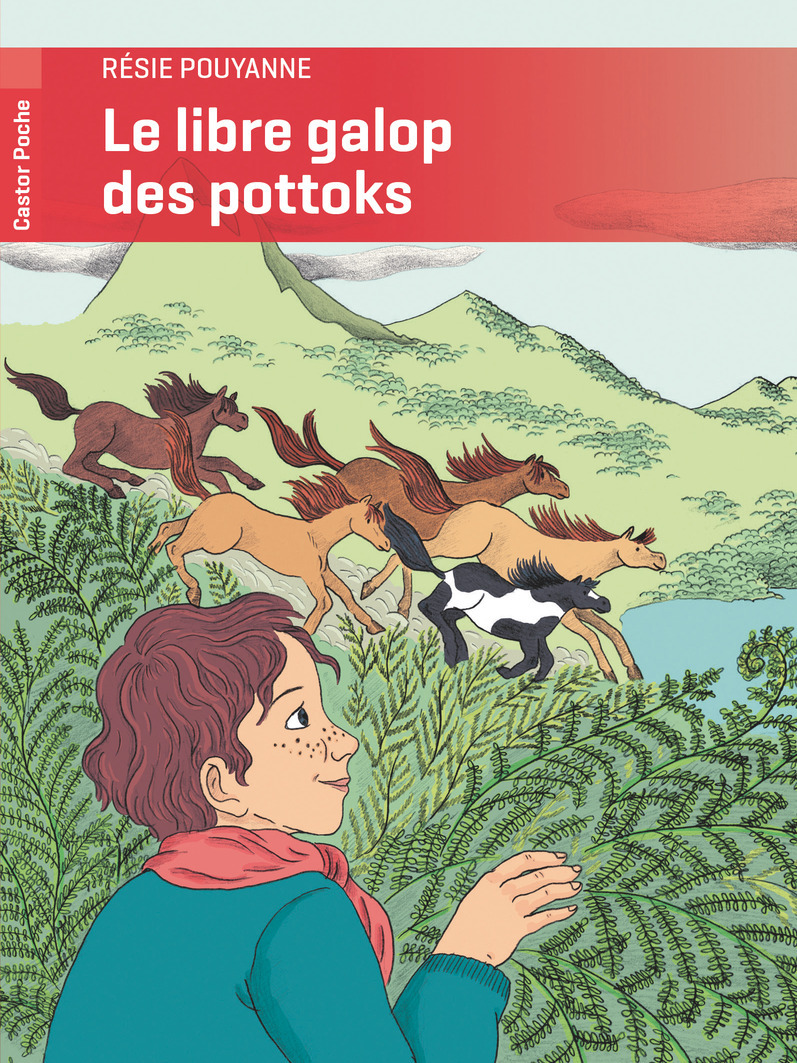 Le libre galop des pottoks