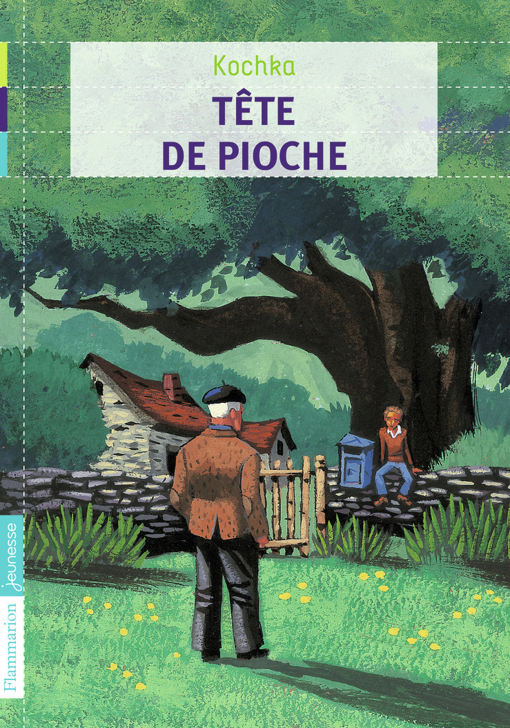 Tête de pioche