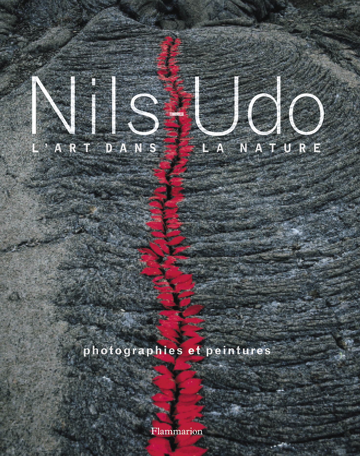 Nils Udo - L'art dans la nature