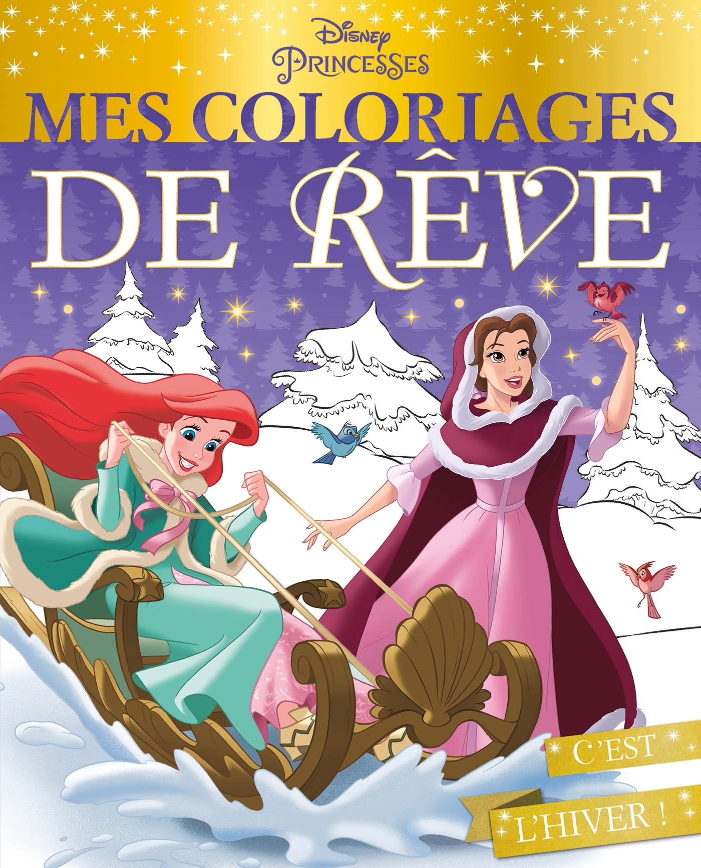 DISNEY PRINCESSES - Mes coloriages de rêve - Spécial Noël