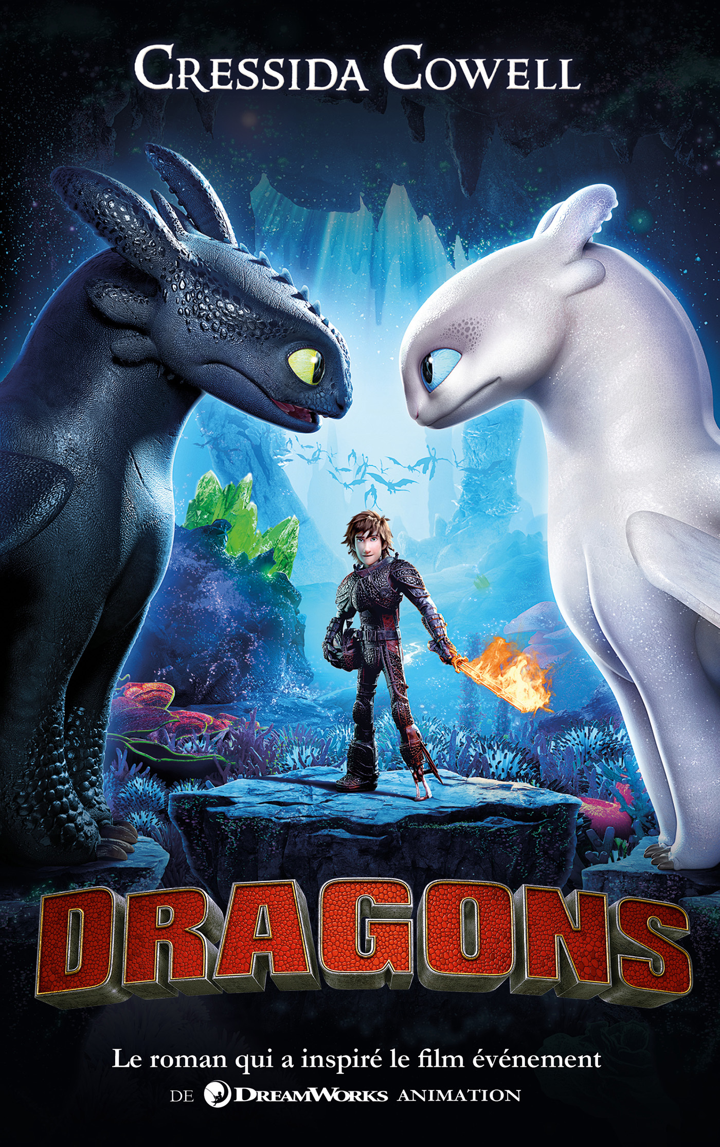 HAROLD ET LES DRAGONS T01 COMMENT DRESSER VOTRE DRAGON