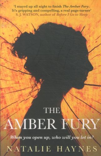 The Amber Fury