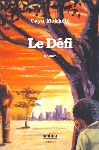 Le défi - roman