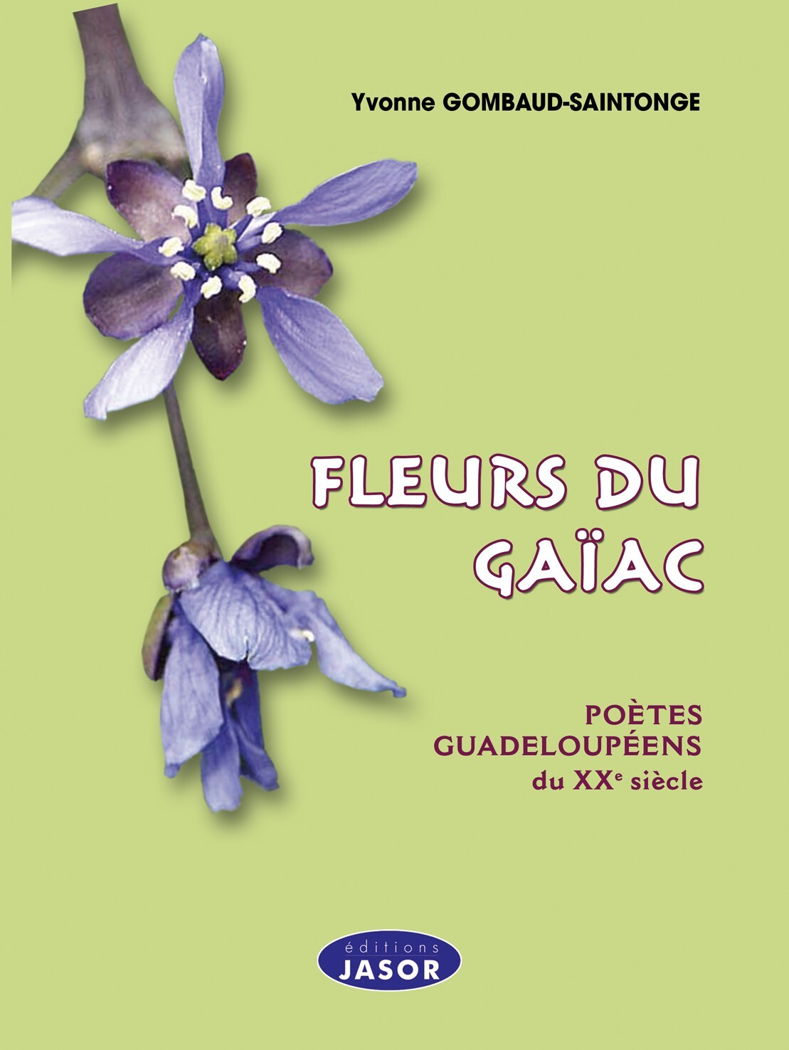 Fleurs du Gaïac