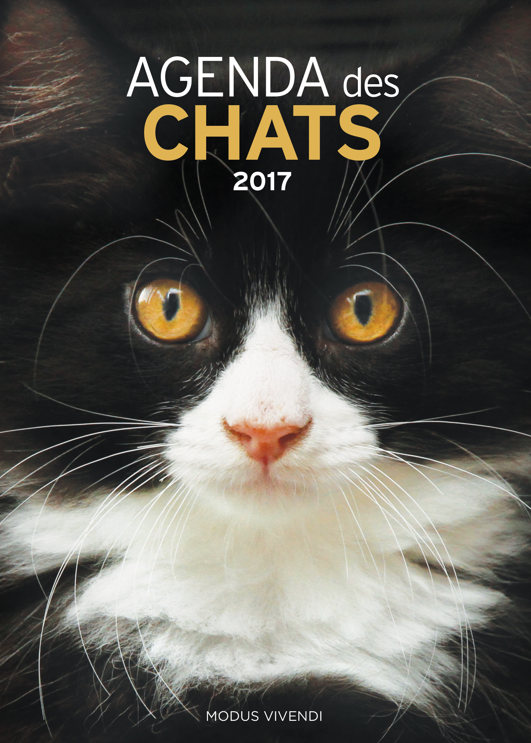 Agenda des chats 2017
