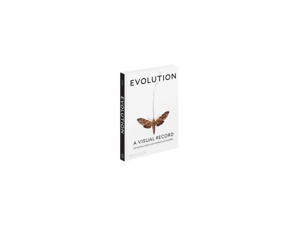 EVOLUTION: A VISUAL RECORD