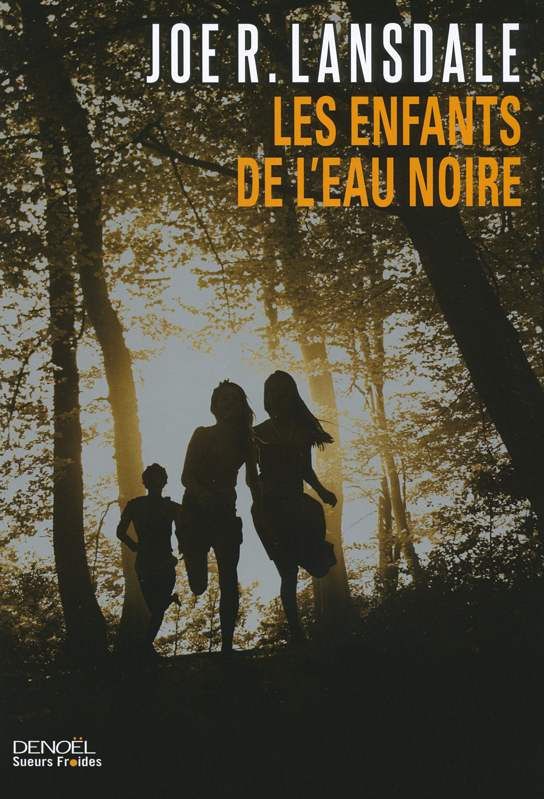 Les Enfants de l'eau noire