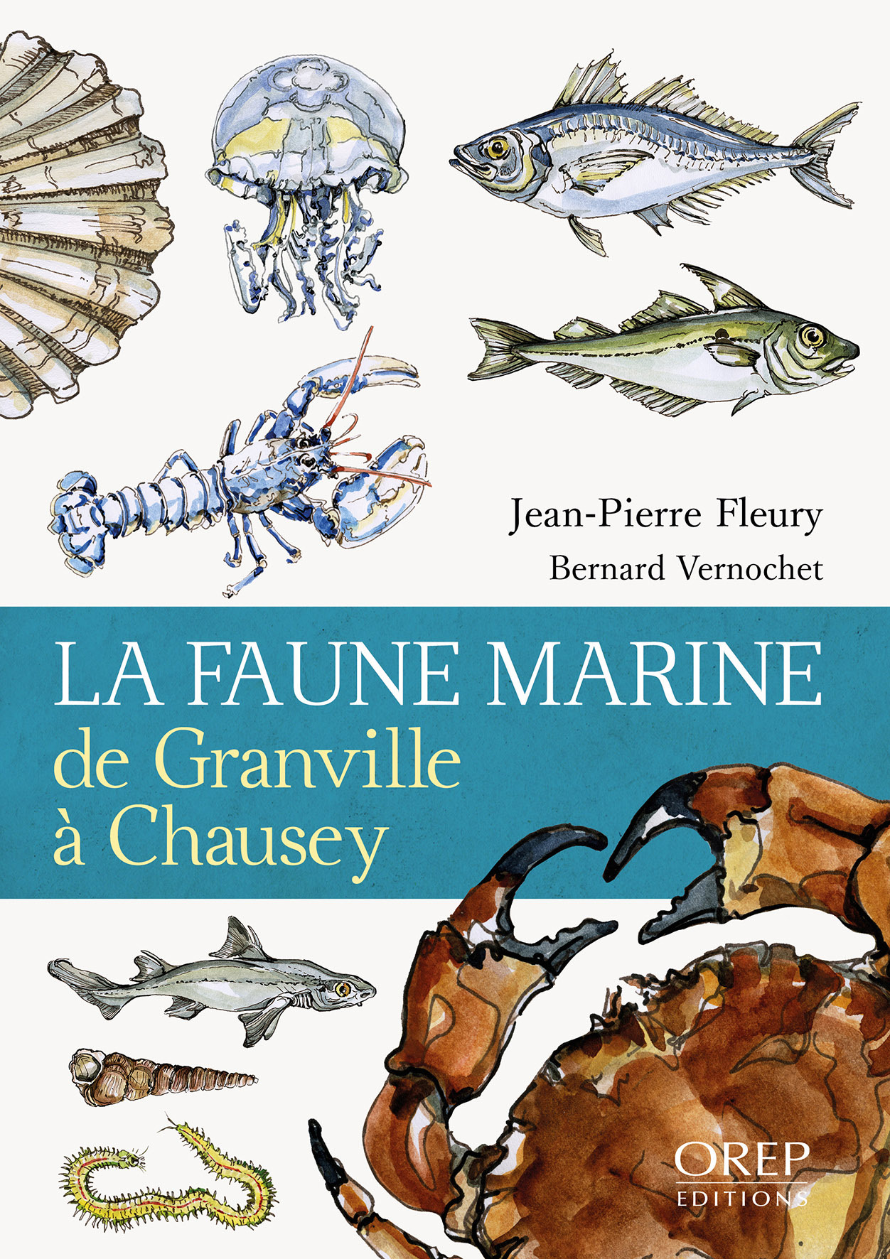 La Faune marine de Granville à Chausey