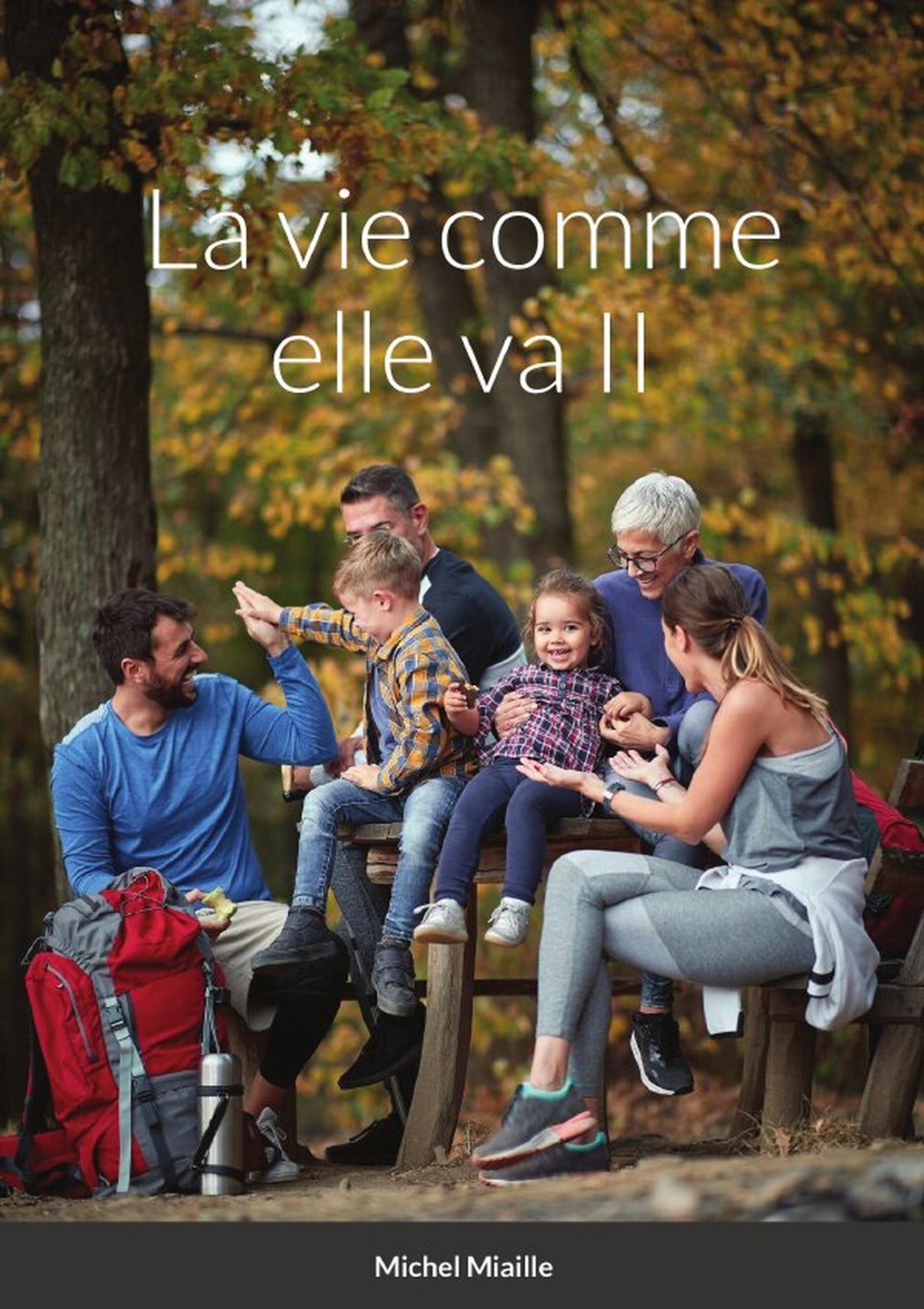 La vie comme elle va II