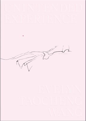 Evelyn Taocheng Wang Unintended Experience (A Job in Amsterdam) /anglais