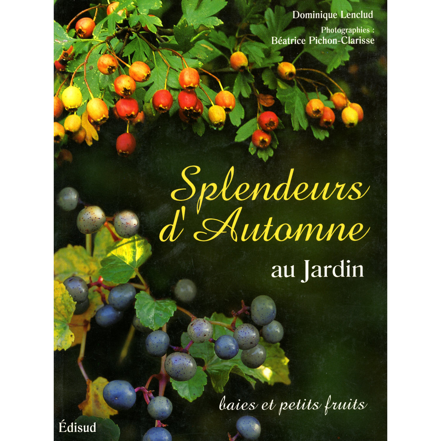 Splendeurs d'automne au jardin - baies et petits fruits