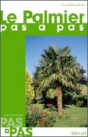 Le palmier - l'exotisme chez soi, en climat tempéré