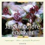 Jardin coloré en hiver