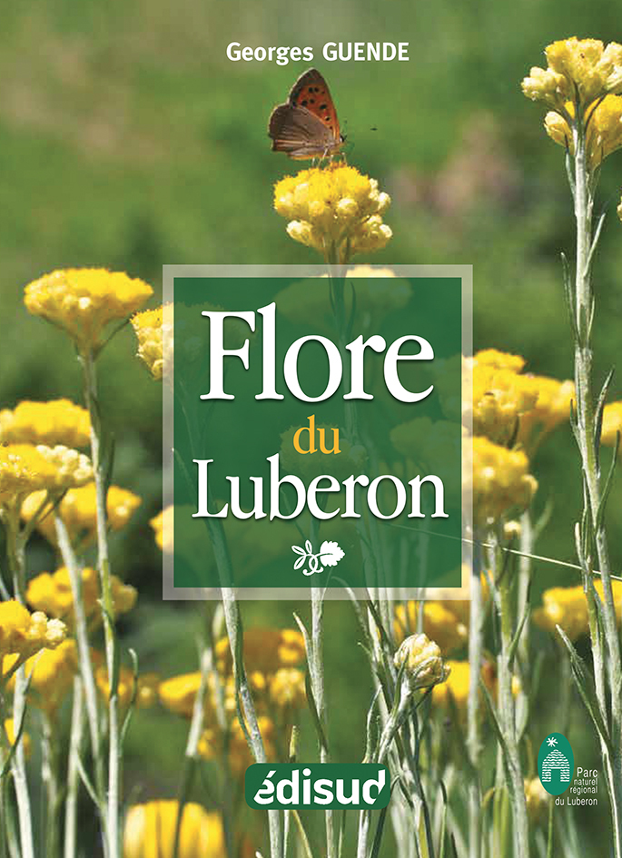 Flore du Luberon