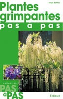 Plantes grimpantes, pas à pas
