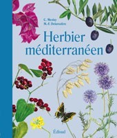 Herbier méditerranéen