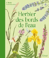 Herbier des bords de l'eau