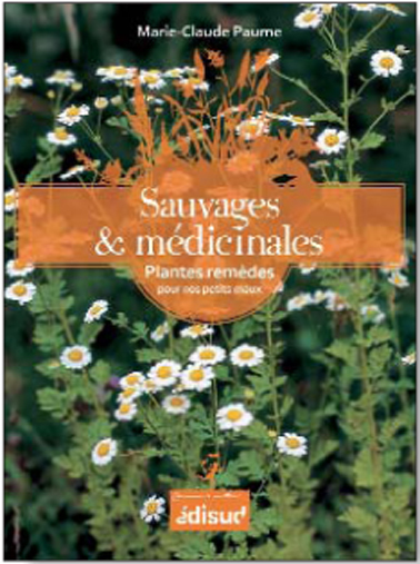 Sauvages et médicinales - plantes remèdes pour nos petits maux