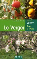 Le verger, pas à pas