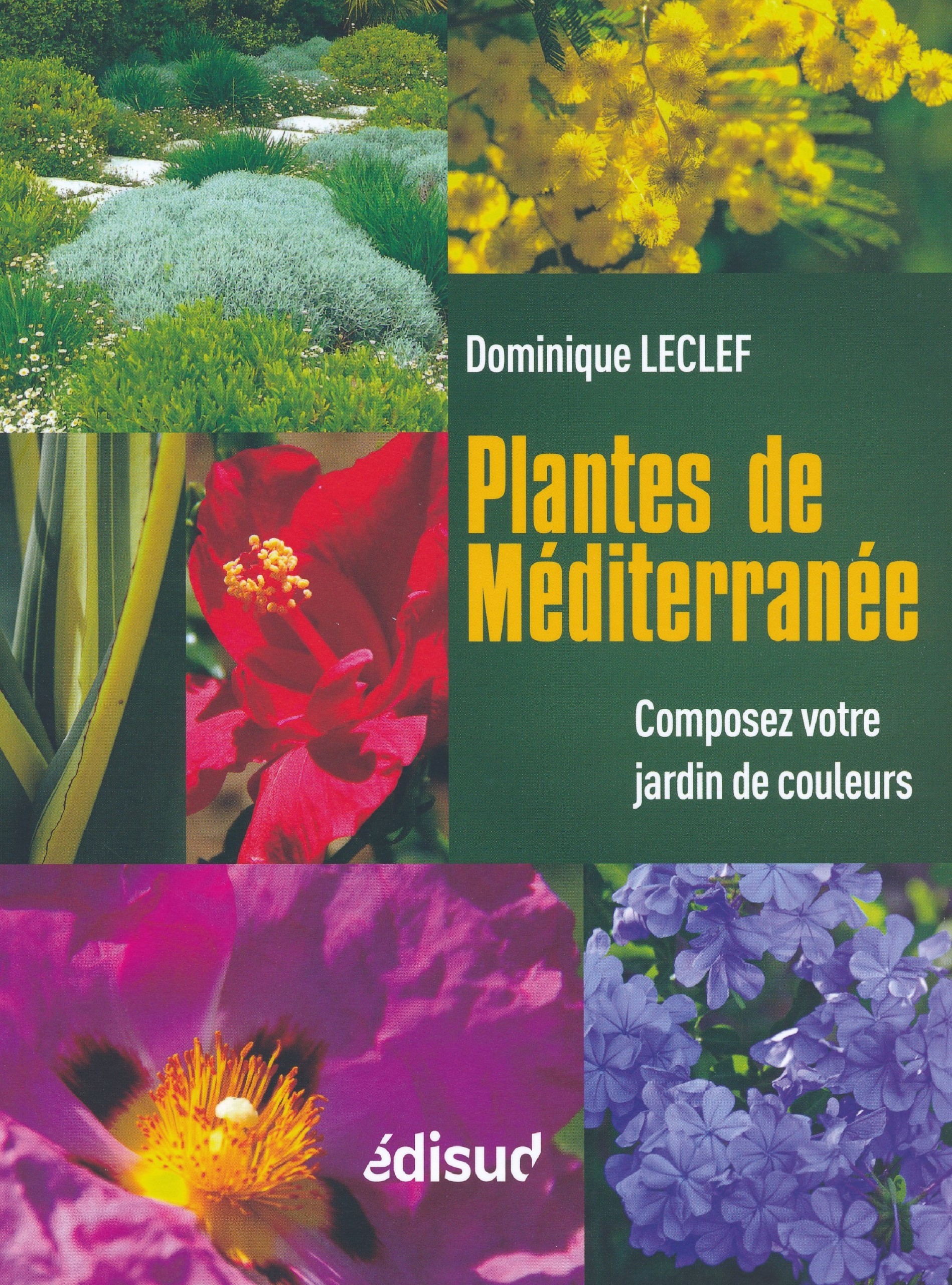 Plantes de Méditerranée - composez votre jardin de couleurs