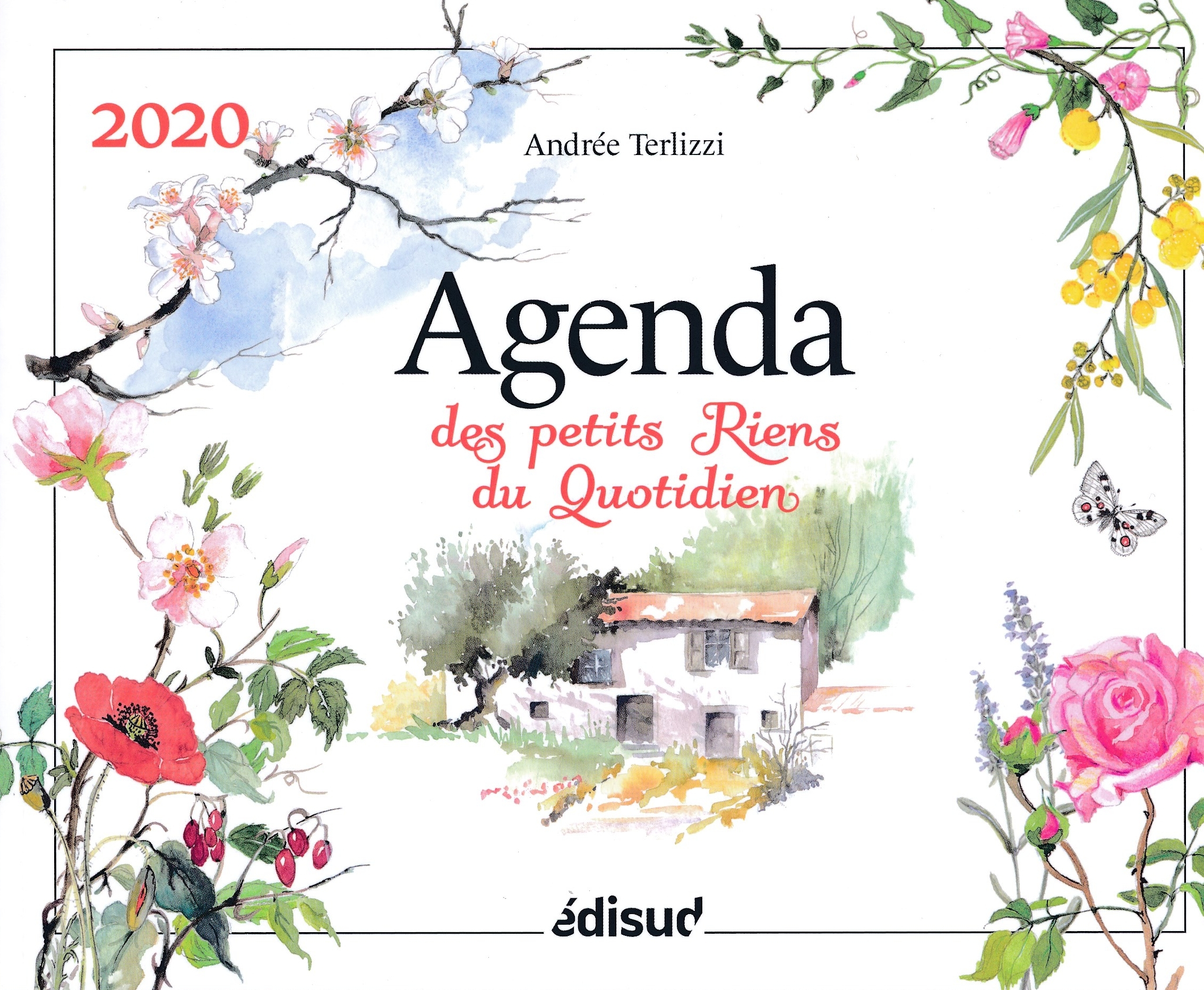 AGENDA DES PETITS RIENS DU QUOTIDIEN 2020