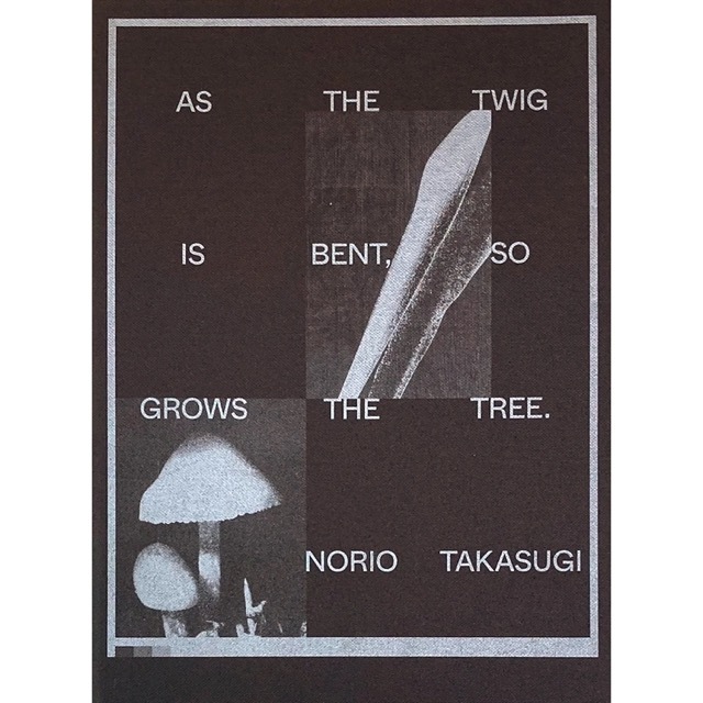 As the twig is bent, so grows the tree