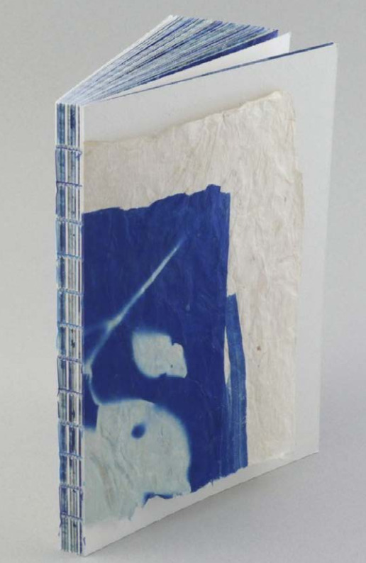 Air, flowers and colours