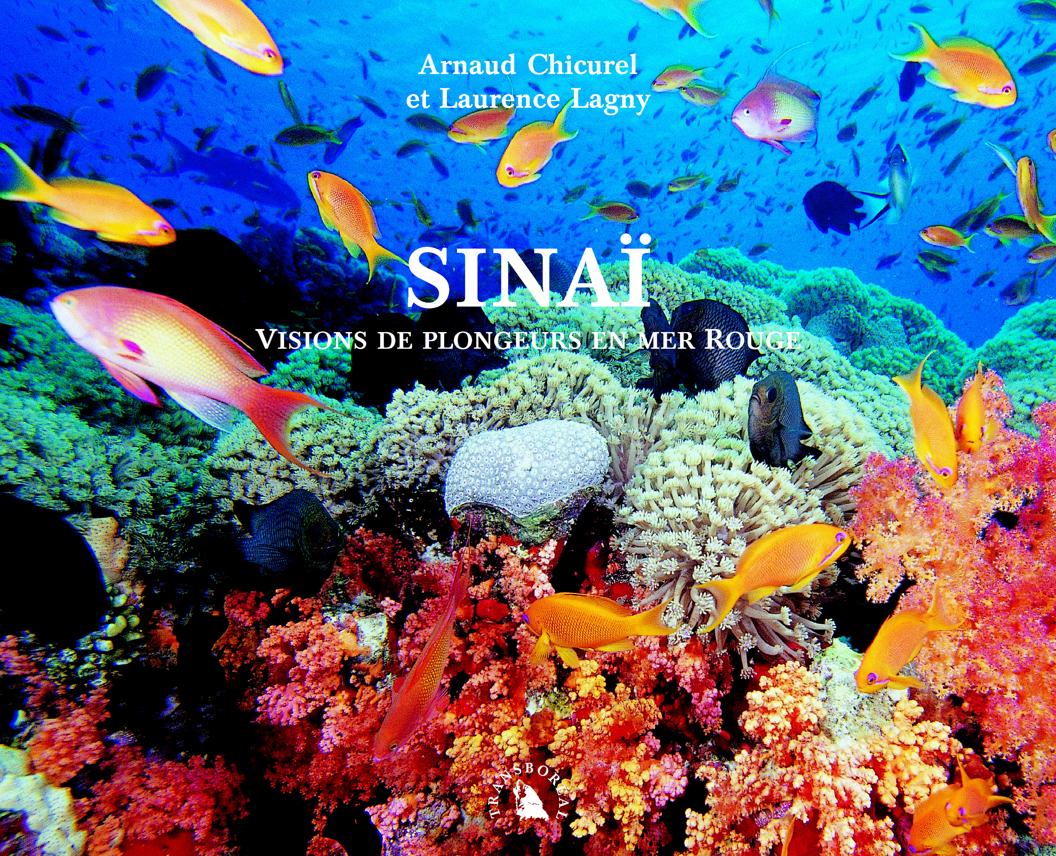 SINAI. VISIONS DE PLONGEURS EN MER ROUGE