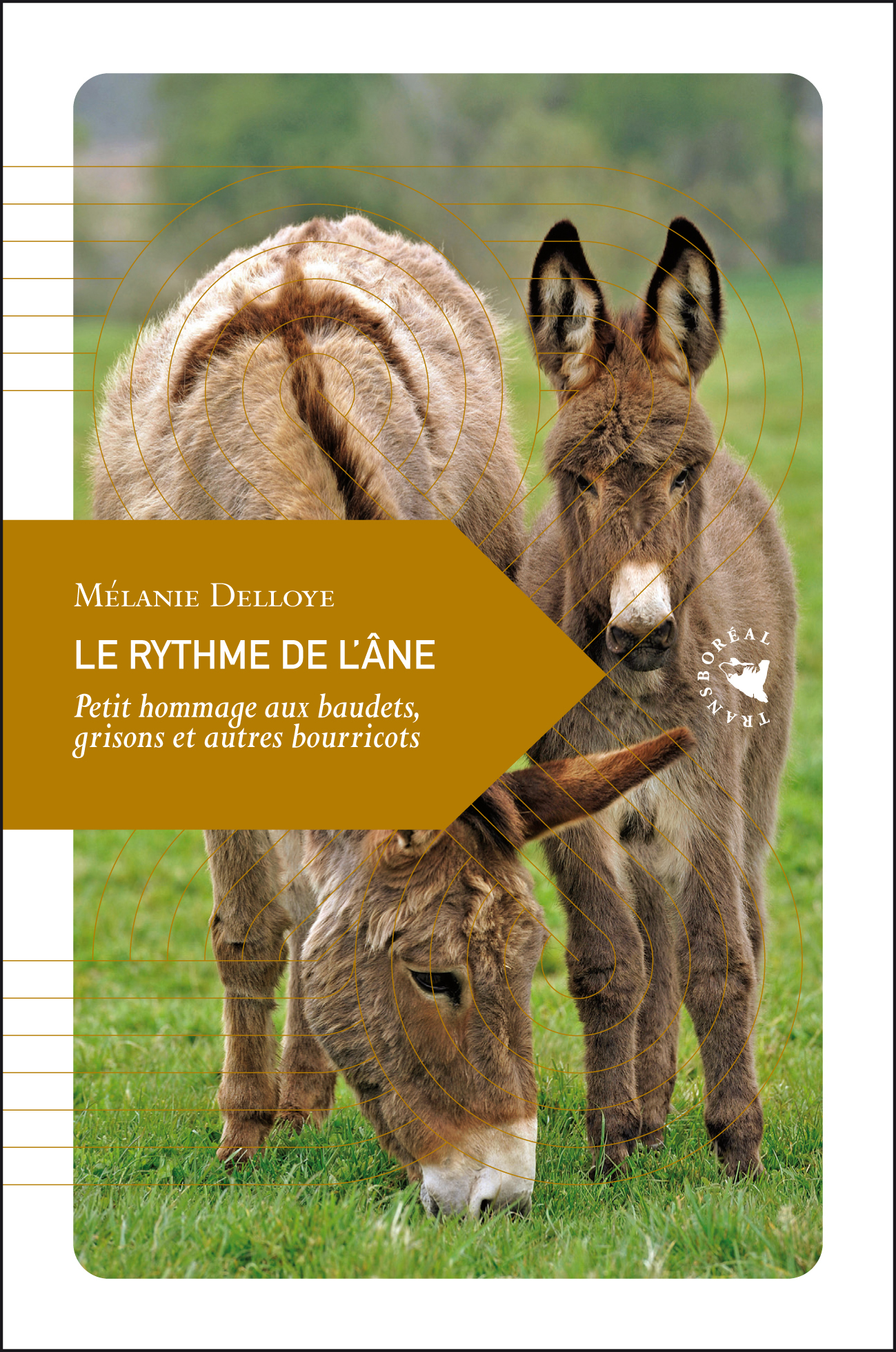 LE RYTHME DE L'ANE