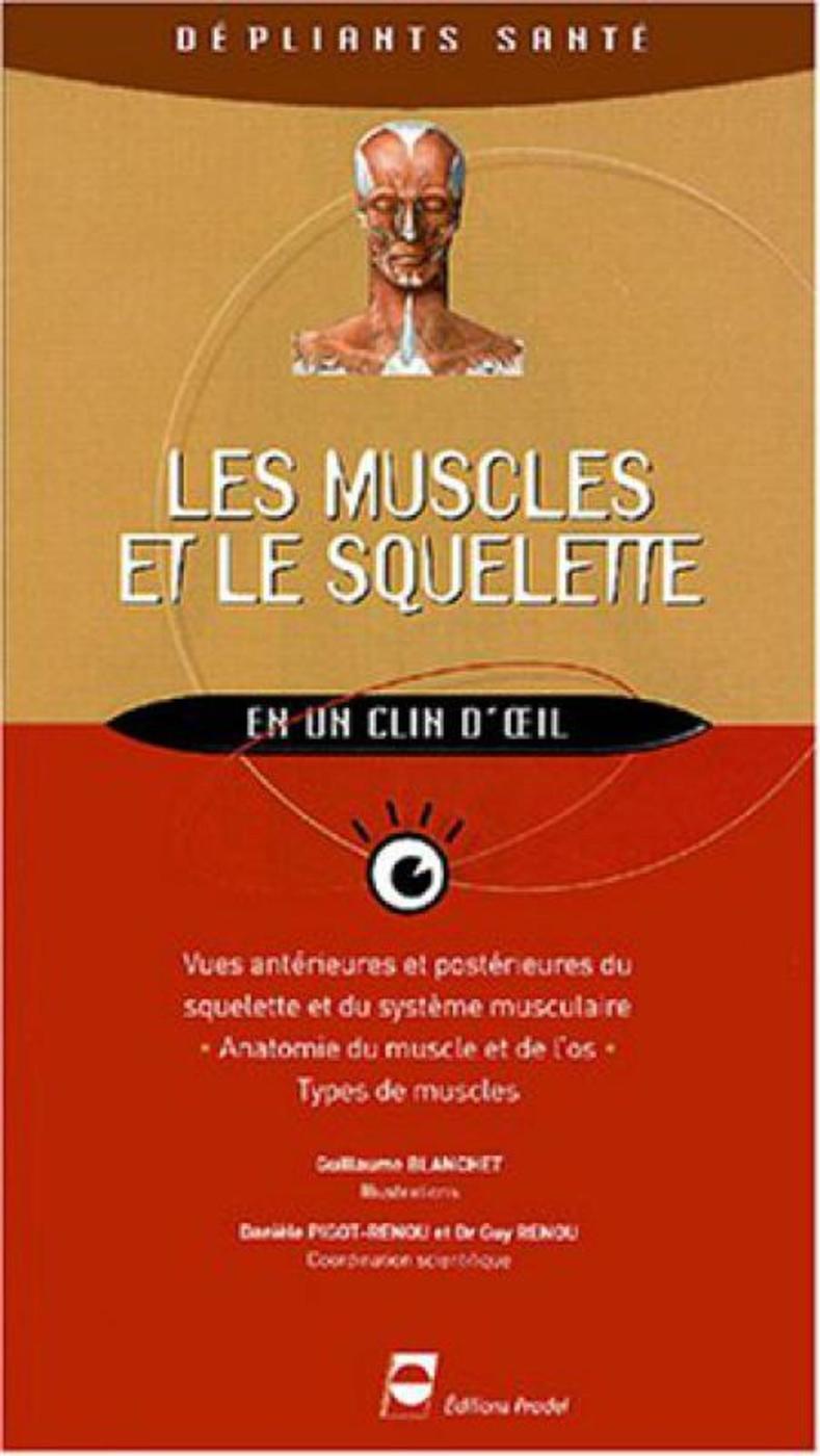 Les muscles et le squelette en un clin d'oeil