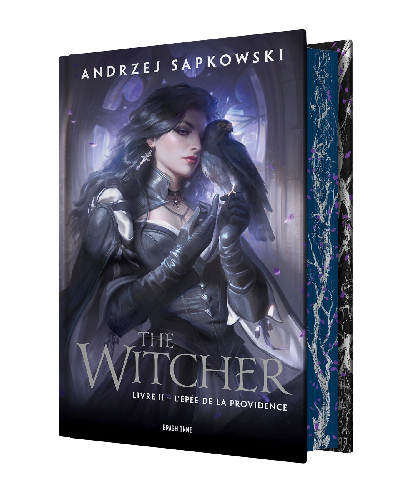 Sorceleur (Witcher), T2 : L'Épée de la Providence (édition reliée)