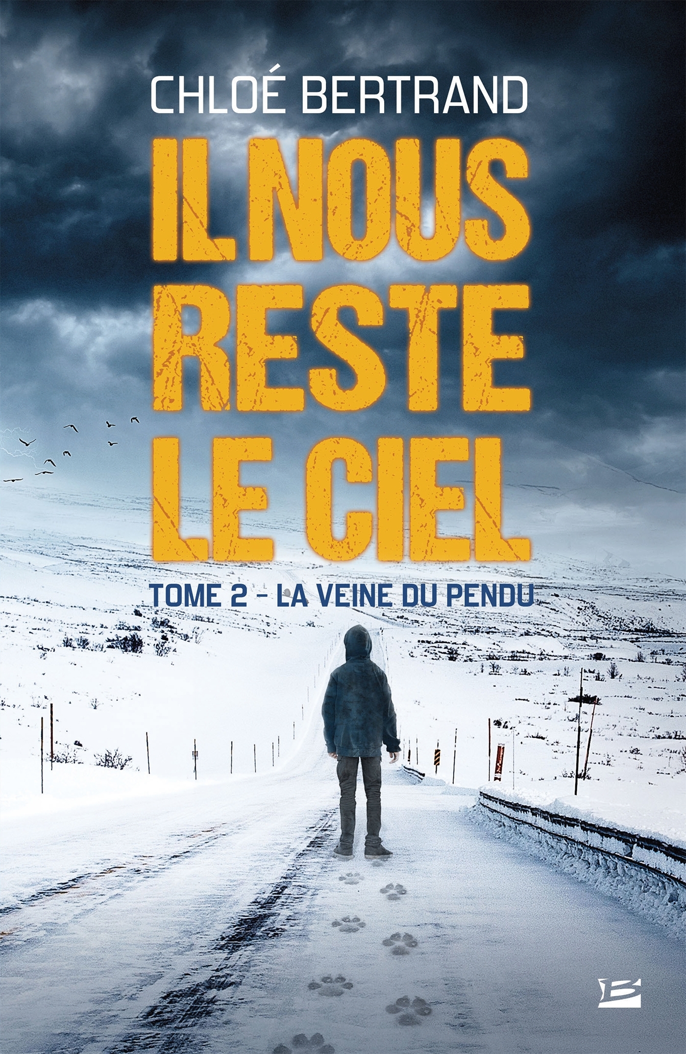 Il nous reste le ciel, T2: La Veine du pendu