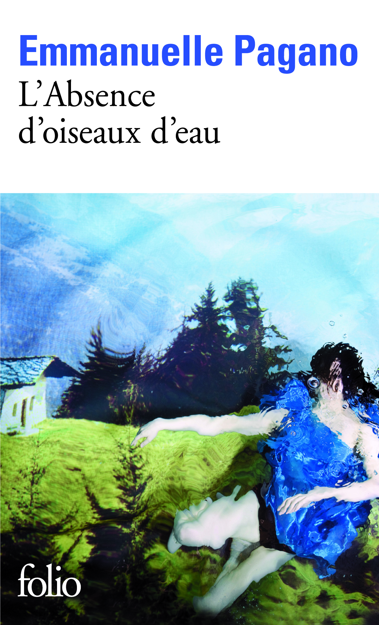 L'Absence d'oiseaux d'eau