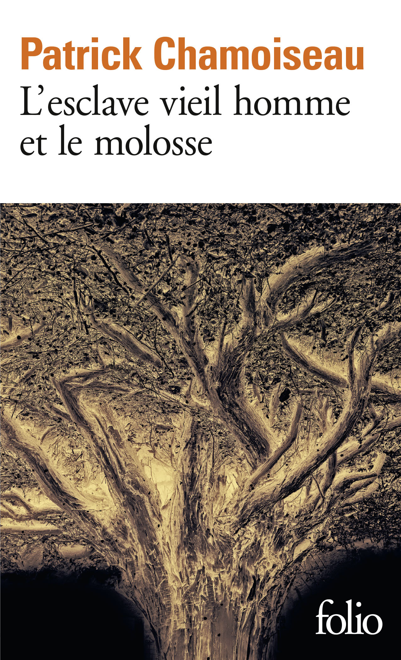 L'esclave vieil homme et le molosse