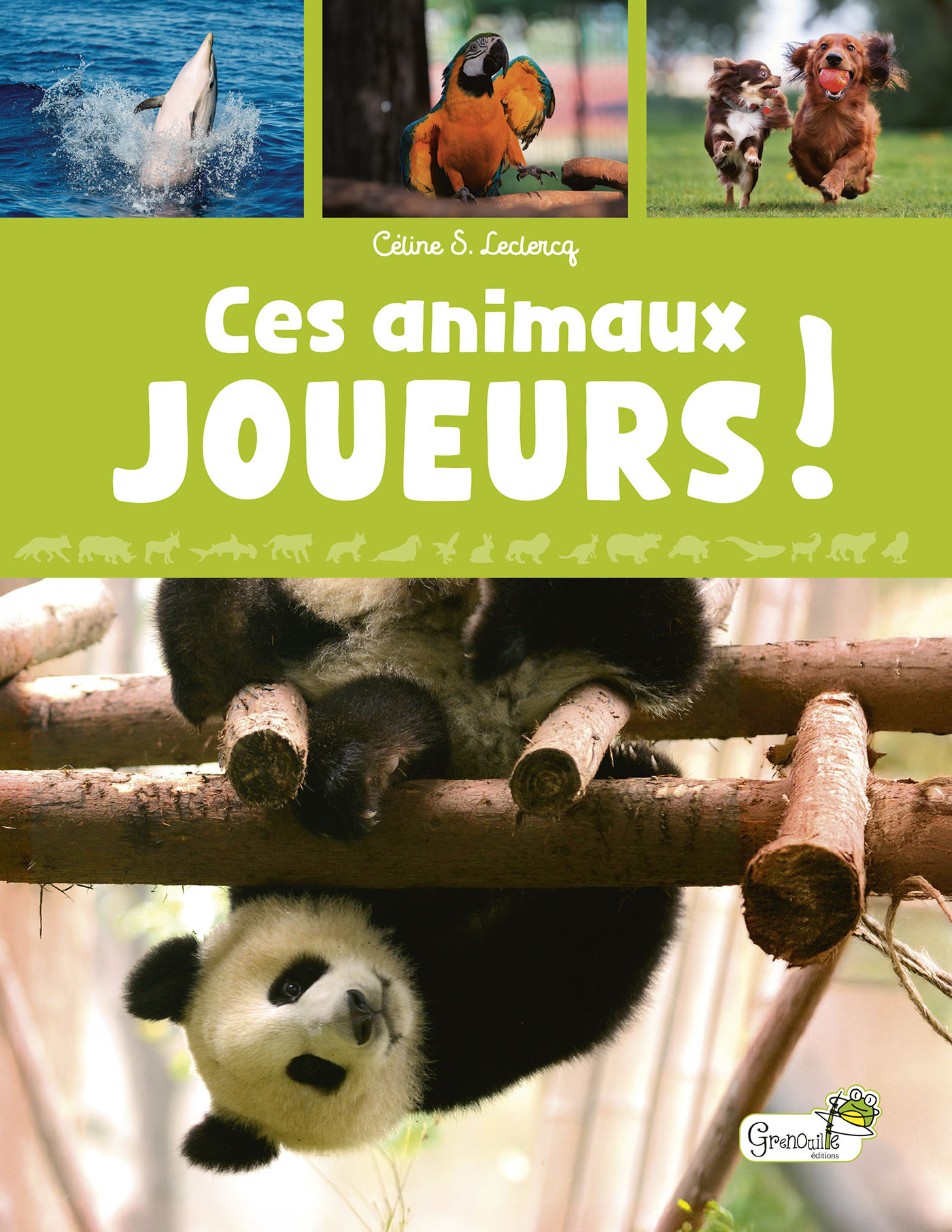 Ces animaux joueurs !