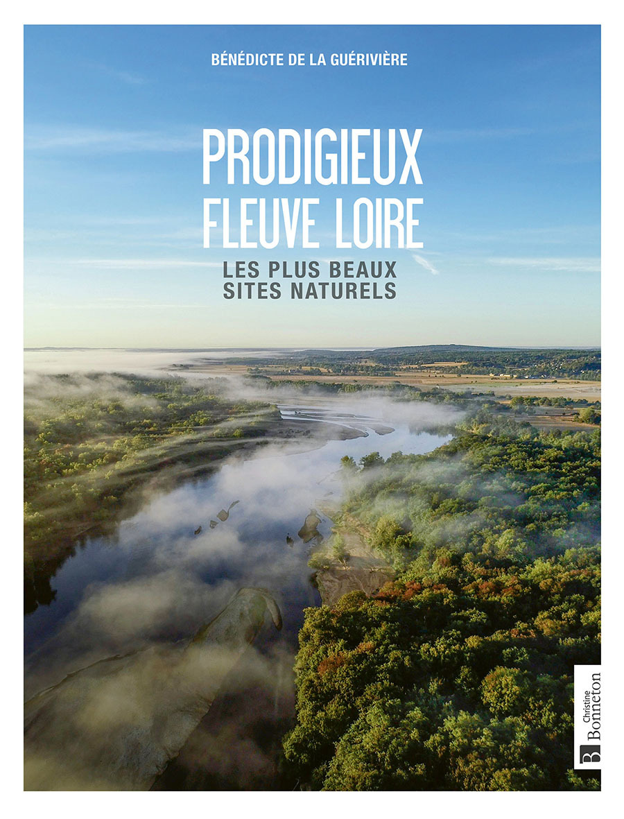 Prodigieux fleuve Loire