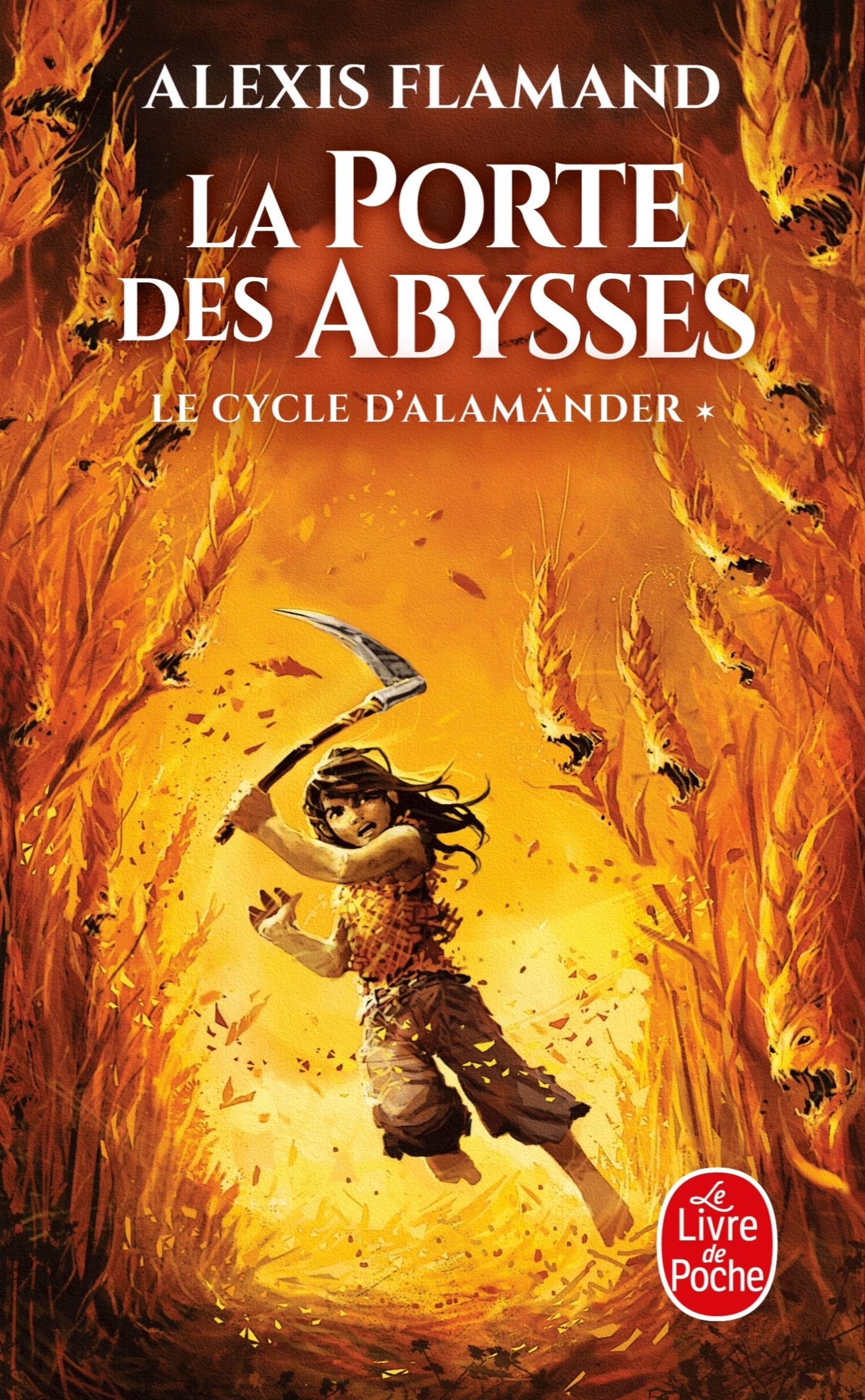 La Porte des abysses (Le Cycle d'Alamänder, Tome 1)