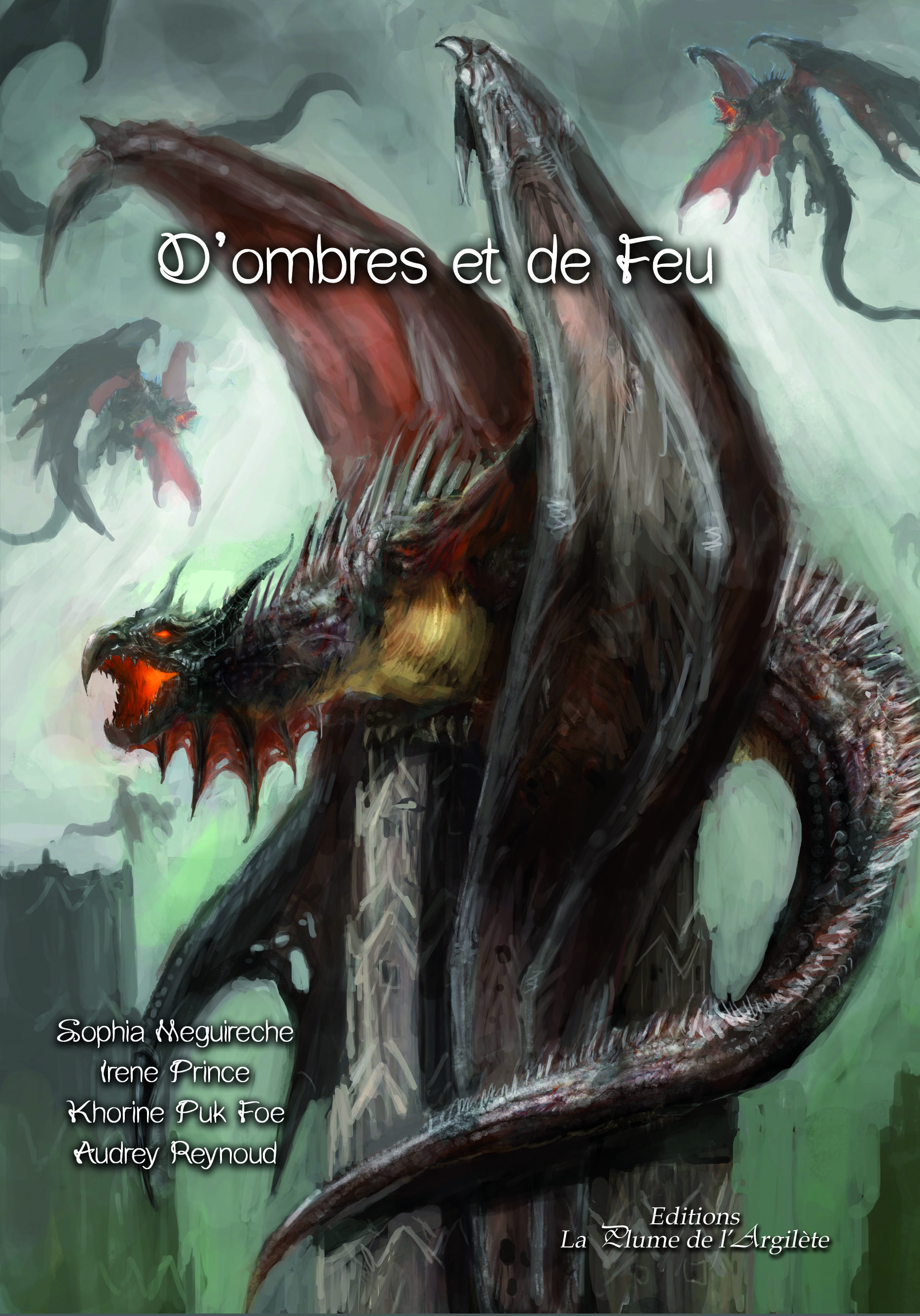 D'Ombres et de feu - DYSLEXIE