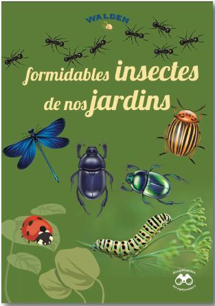 Formidables insectes de nos jardins 