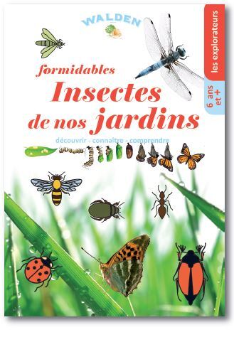 Formidables insectes de nos jardins