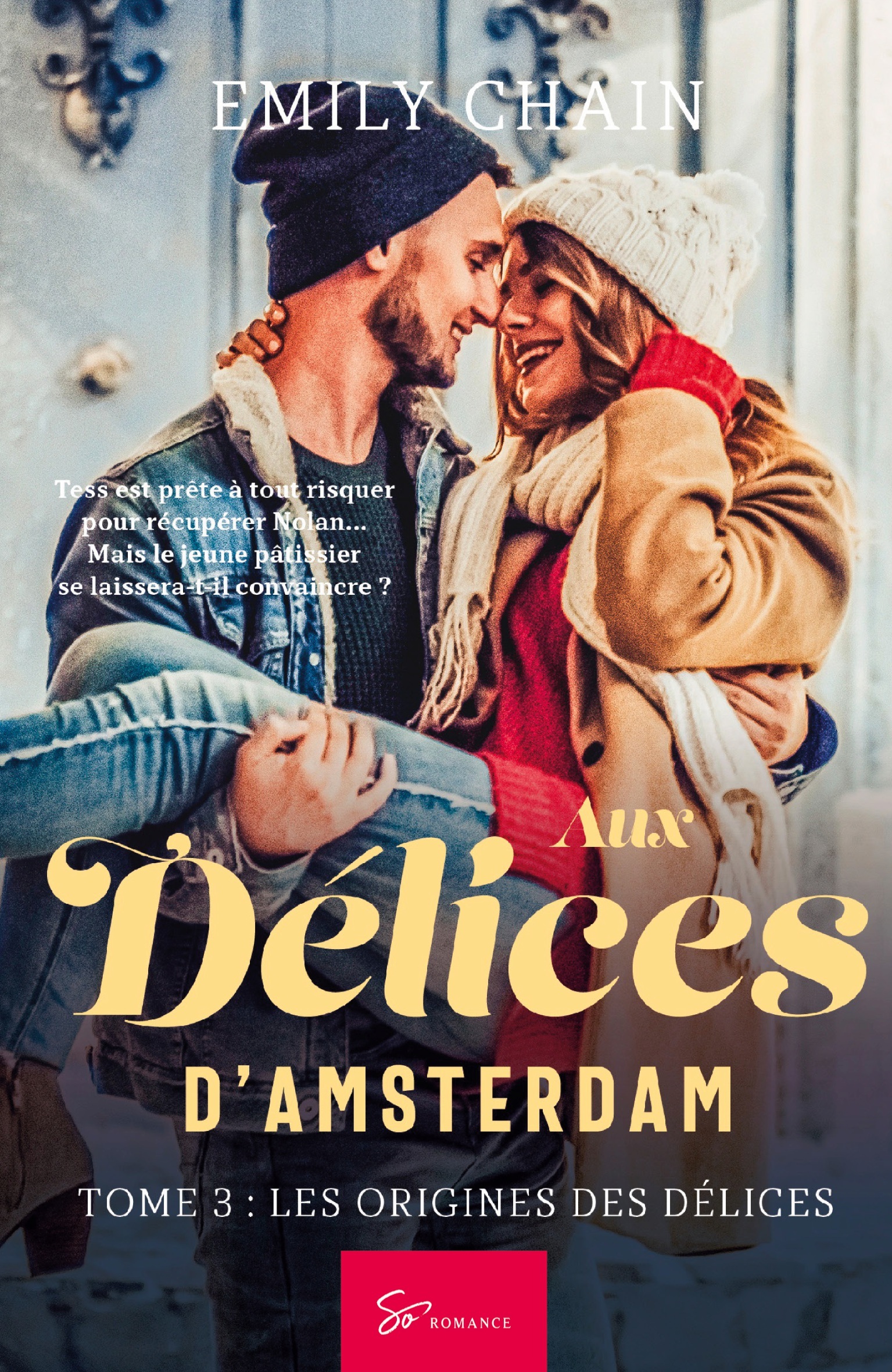Aux Délices d'Amsterdam - Les Origines des Délices
