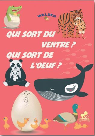 Qui sort du ventre, qui sort de l’oeuf ?