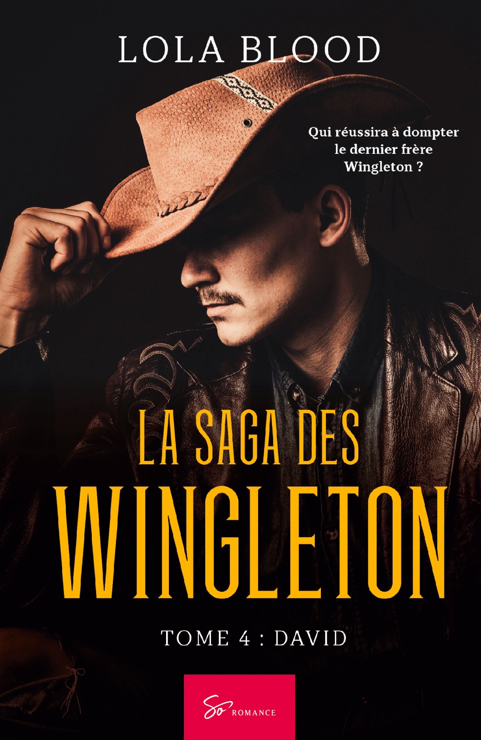 La Saga des Wingleton - David
