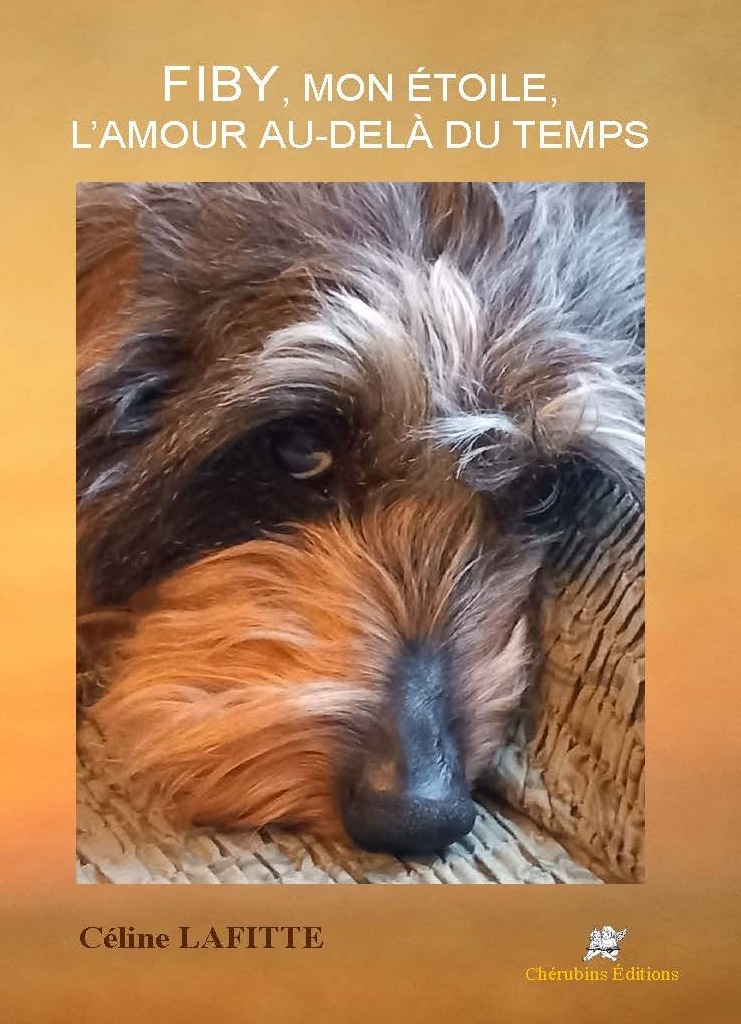 FIBY, mon Etoile, l'Amour au-delà du temps